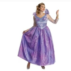 Wicked Glinda "For Good" Adult Deluxe Costume by Disguise. Medium (8/10)